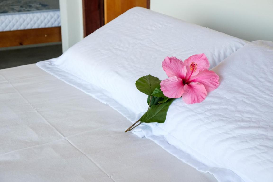 Haleiwa Chales E Suites - A Guest House Do Prumirim 乌巴图巴 外观 照片